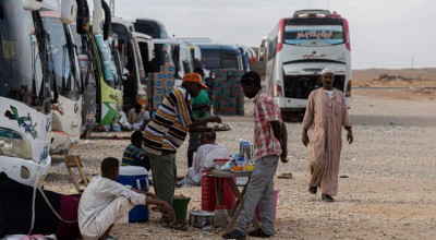 حقيقة تصريح د/ مصطفى بدرة عن تكلفة إقامة المهاجرون