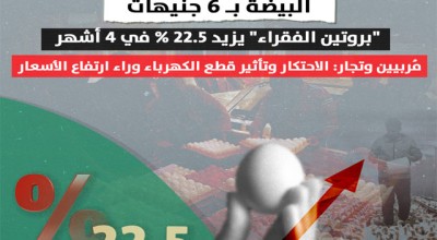 البيضة ب 6 جنيهات |  "بروتين الفقراء" يزيد 22.5% في 4 أشهر مُربيين وتجار: الاحتكار وتأثير قطع الكهرباء وراء ارتفاع الأسعار