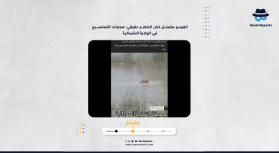 الفيديو مضلل لكن الخطر حقيقي: هجمات التماسيح في الولاية الشمالية