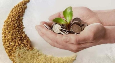 بيان انتحالي منسوب لدار الإفتاء حول نصاب زكاة الفطر لعام 2026