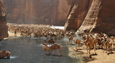 حقيقة صور محمية وادي الجمال في مصر