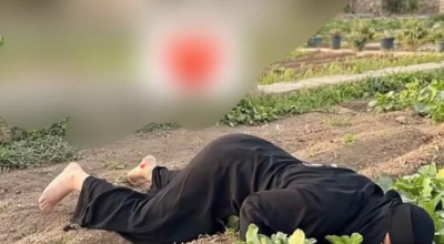 حقيقة الصورة المتداولة حول مقتل أم سارة وأحمد في مديرية الشمايتين بتعز