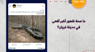 ما صحة ظهور أكبر أفعى في مدينة غريان؟