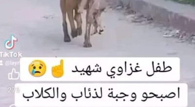  صورة مولود حديث في فم كلبٍ في بنغلاديش منتشرة بأنها في غزة 