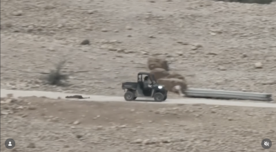 مقطع الفيديو لمستوطنين يجرّون خروفًا ميتًا وليس طفلًا فلسطينيًا 