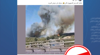 هذه الصورة قديمة وليست لحريق حديث في محيط القصر الجمهوري بدمشق