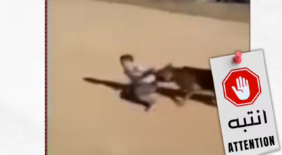 مقطع قديم لتحريض كلب على طفل في وهران