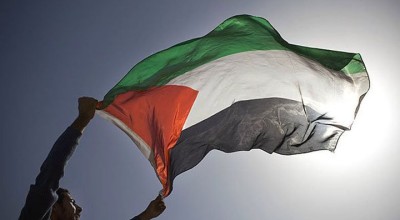 جوجل لم تنظم استفتاءً عن تسمية فلسطين على الخريطة