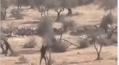  انتشار فيديو لاعتداءات مستوطنين مع الادعاء أنه في سوريا 