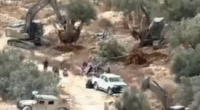 فيديو مولد بالذكاء الاصطناعي لقلع أشجار الزيتون في بيت ريما 