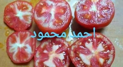 حقيقة وجود مواد سامة بالطماطم ذات القلب الأبيض