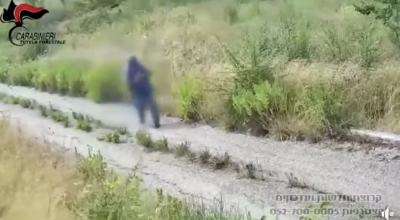 Video of arson attack in Italy reposted as from Jerusalem