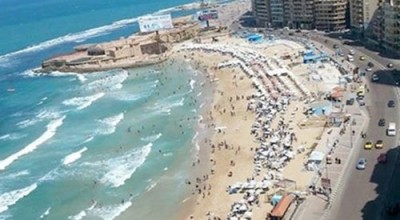 حقيقة فيديو نداء الشرطة إلى حَبيبة إسكندرية