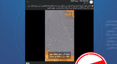 الفيديو المتداول لا يوثق غزو أسراب الجراد في سهل الغاب بريف حماة “مضلل”