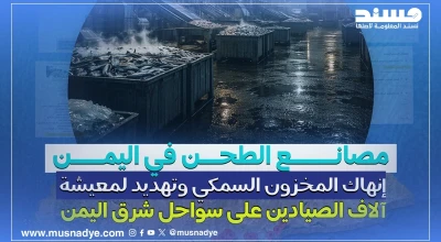 مصانع الطحن في اليمن: إنهاك المخزون السمكي وتهديد لمعيشة آلاف الصيادين على سواحل شرق اليمن - تتبع عبر المصادر المفتوحة