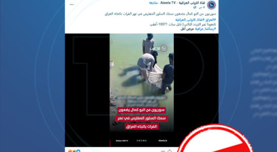 مضلل: فيديو قديم من سوريا أعيد نشره على أنه يوثق إطلاق سمك السلور في الفرات باتجاه العراق