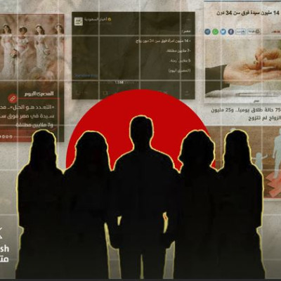 محام بالنقض يروج لأرقام خاطئة عن أعداد المطلقات وغير المتزوجات ويذكر أسبابًا مضللة عن التحرش بالأطفال