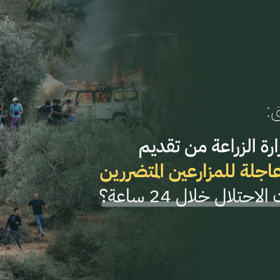 كاشف يتحقق: هل تقوم وزارة الزراعة من تقديم مساعدات عاجلة للمزارعين  المتضررين من اعتداءات الاحتلال خلال 24 ساعة؟