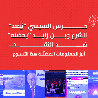 حرس السيسي "يُبعد" الشرع وبن زايد "يحصّنه" ضد النقد... أبرز المعلومات المضلّلة هذا الأسبوع