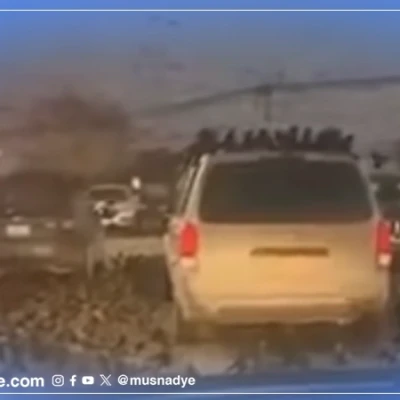 فيديو مئات من طائر الغراب قديم وليس في إسرائيل