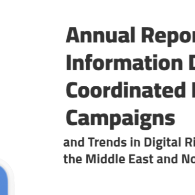 Annual Report on Information Disorder, Coordinated Digital Campaignsand Trends in Digital Rights Violations in the Middle East and North Africa in 2024