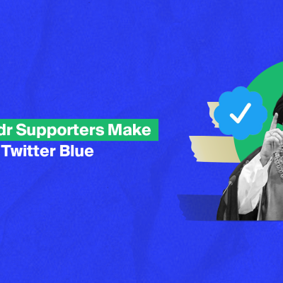 How did Al Sadr Supporters Make Use of Twitter Blue