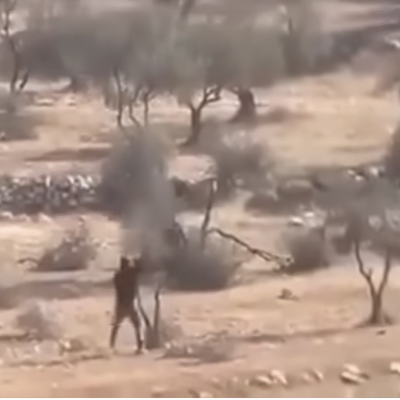  انتشار فيديو لاعتداءات مستوطنين مع الادعاء أنه في سوريا 