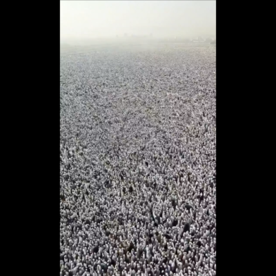 انتشار فيديو للحجاج مولد بالذكاء الاصطناعي
