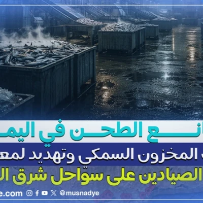 مصانع الطحن في اليمن: إنهاك المخزون السمكي وتهديد لمعيشة آلاف الصيادين على سواحل شرق اليمن - تتبع عبر المصادر المفتوحة