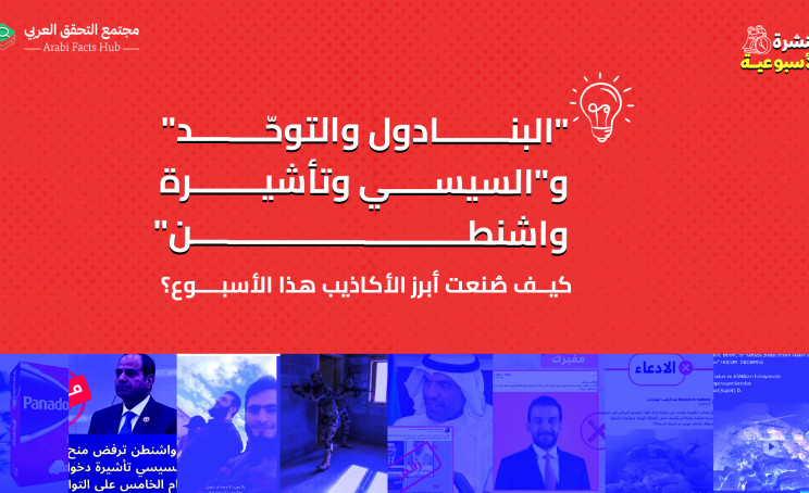 "البنادول والتوحّد" و"السيسي وتأشيرة واشنطن".. كيف صُنعت أبرز الأكاذيب هذا الأسبوع؟