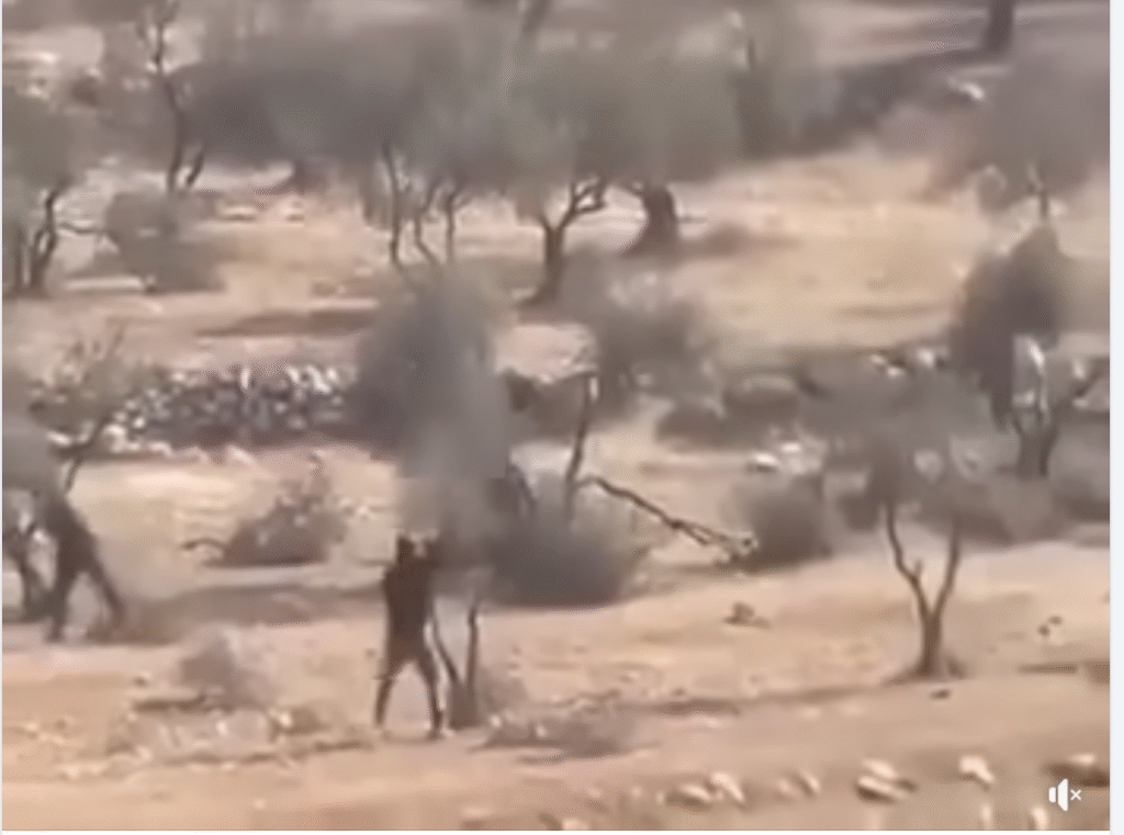  انتشار فيديو لاعتداءات مستوطنين مع الادعاء أنه في سوريا 