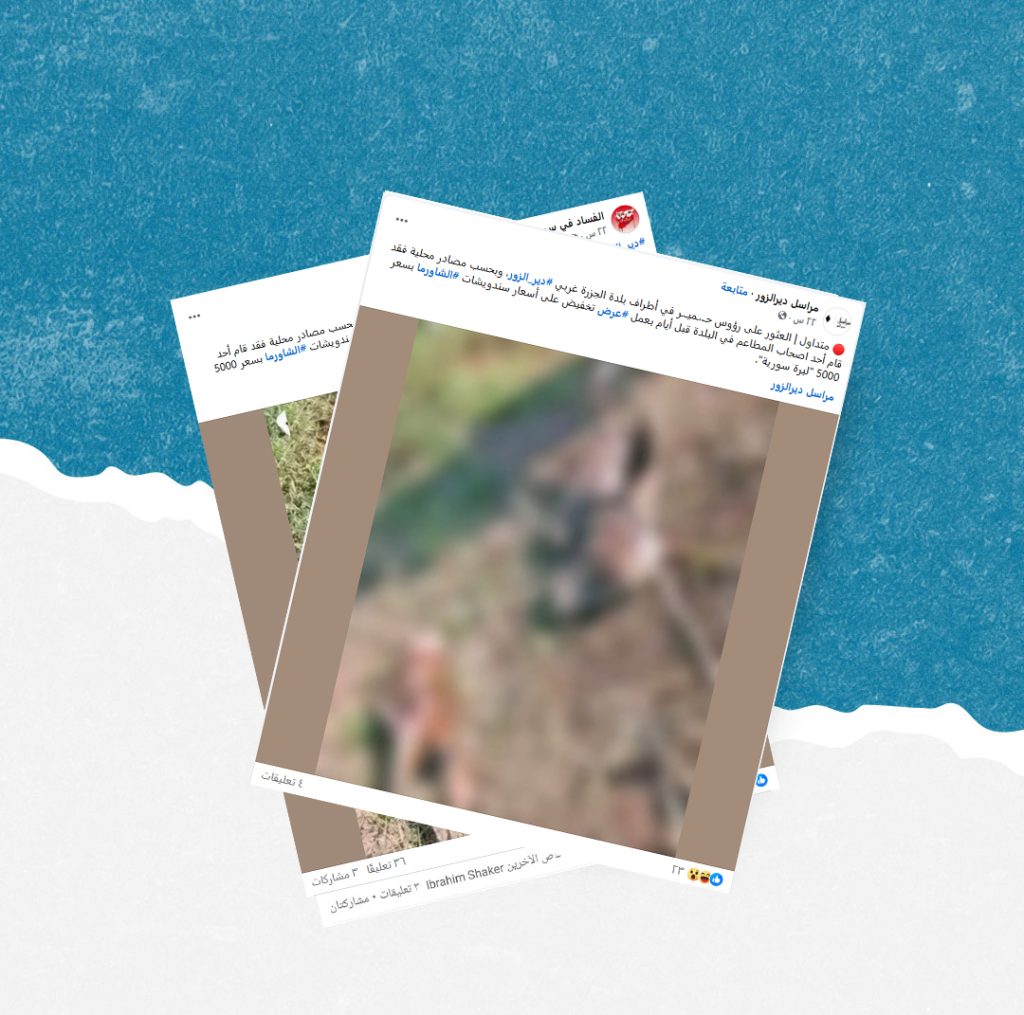 هذه الصورة قديمة ولا علاقة لها ببلدة الجزرة السورية