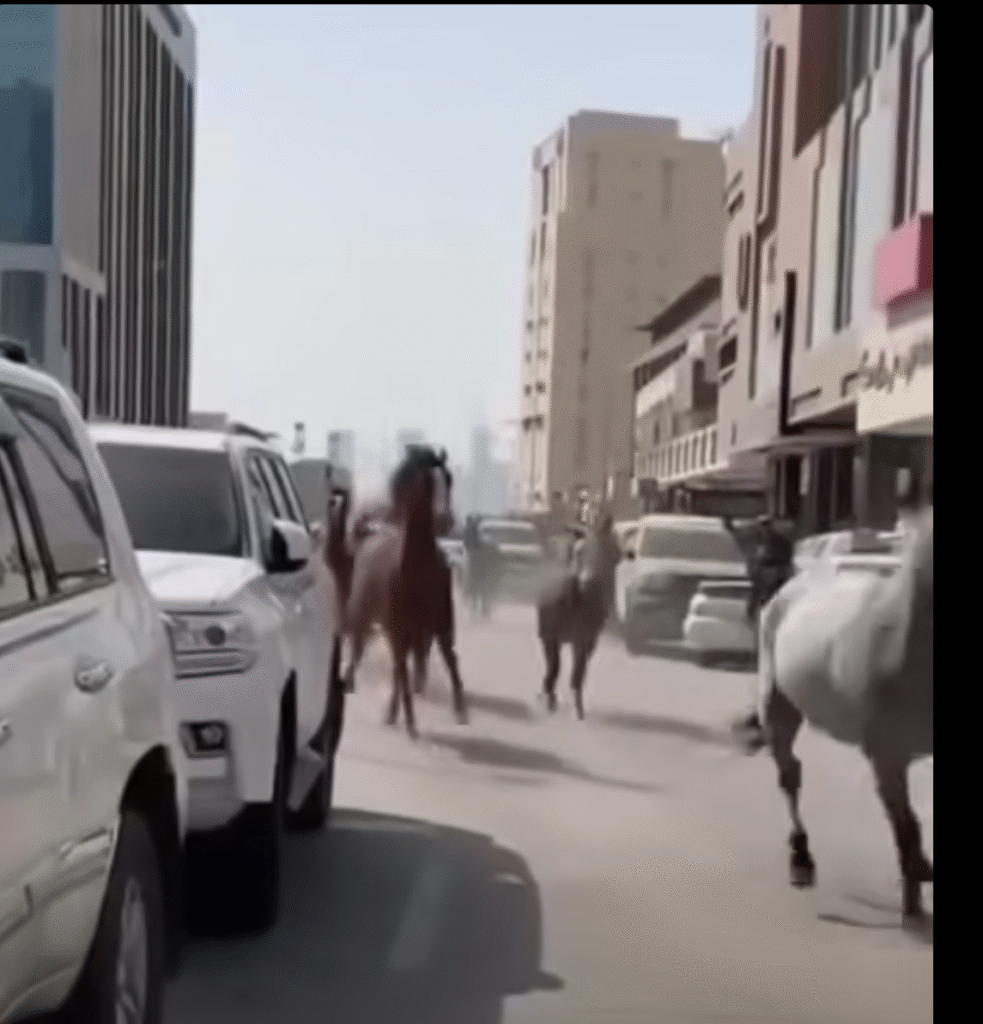 لا صحة لخروج خيول في دبي والفيديو مولد بالذكاء الاصطناعي