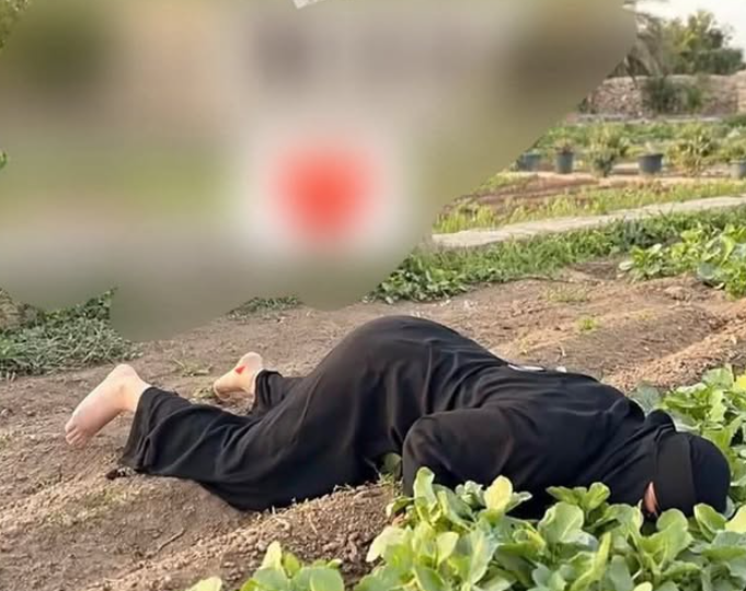 حقيقة الصورة المتداولة حول مقتل أم سارة وأحمد في مديرية الشمايتين بتعز