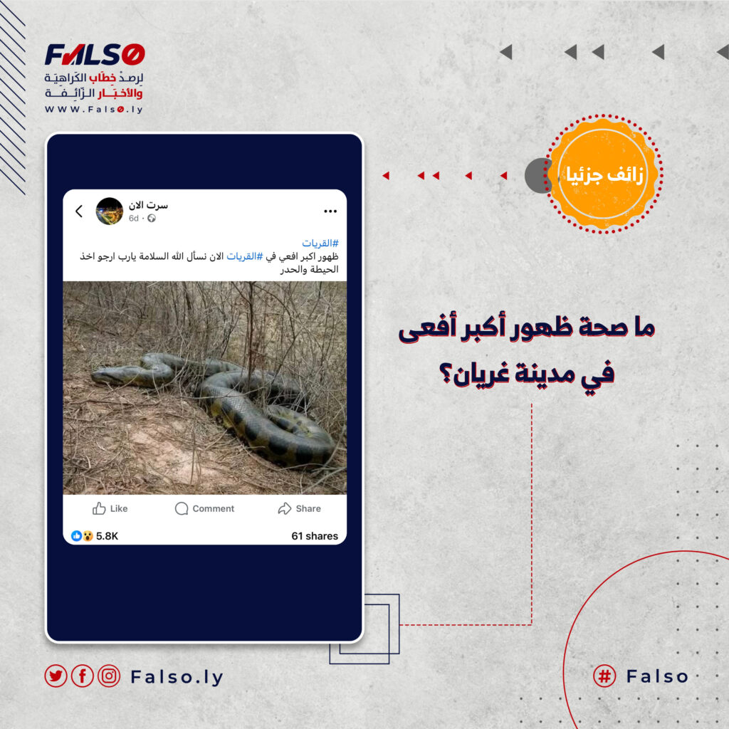 ما صحة ظهور أكبر أفعى في مدينة غريان؟