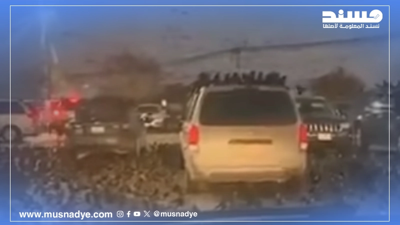 فيديو مئات من طائر الغراب قديم وليس في إسرائيل