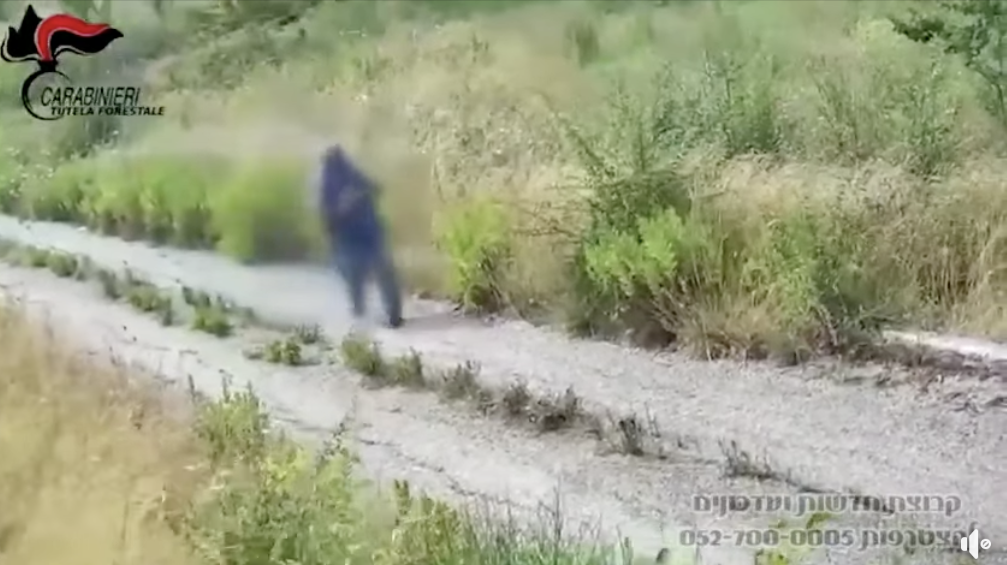 Video of arson attack in Italy reposted as from Jerusalem