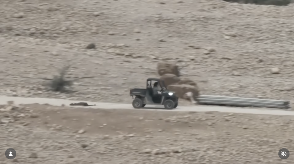 مقطع الفيديو لمستوطنين يجرّون خروفًا ميتًا وليس طفلًا فلسطينيًا 