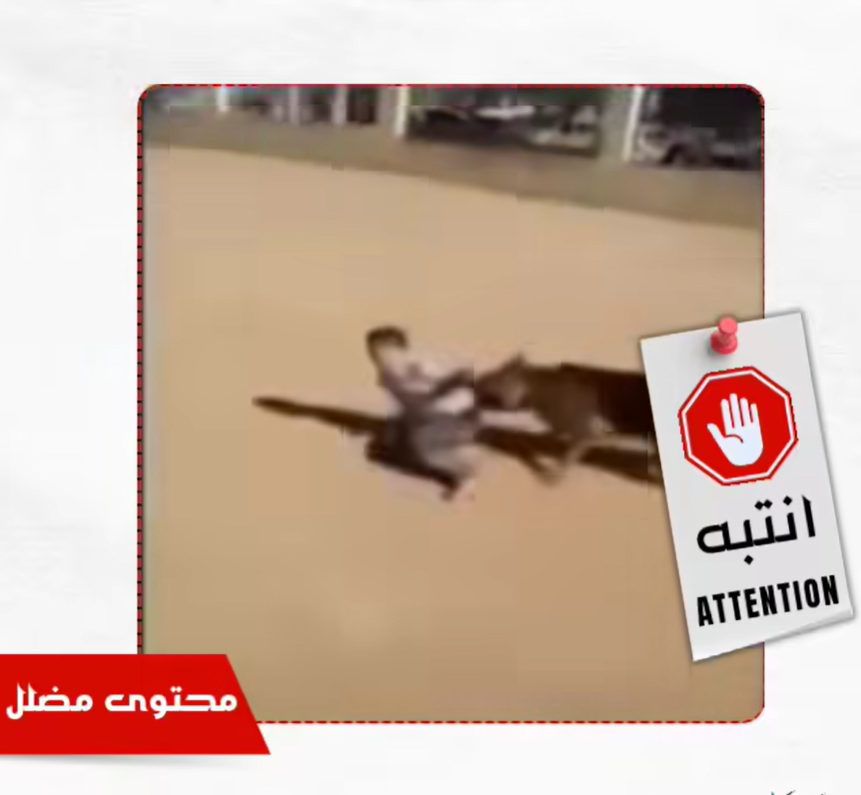 مقطع قديم لتحريض كلب على طفل في وهران