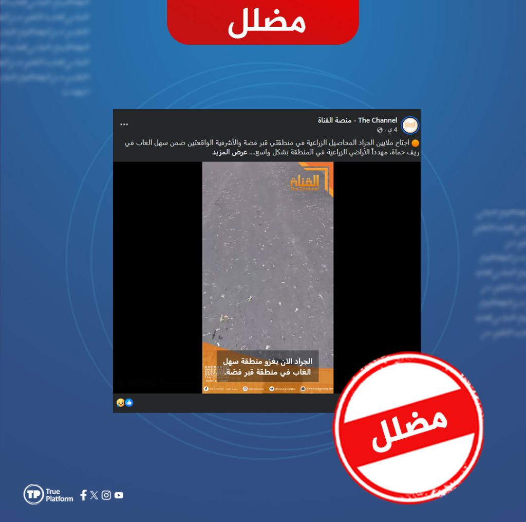 الفيديو المتداول لا يوثق غزو أسراب الجراد في سهل الغاب بريف حماة “مضلل”