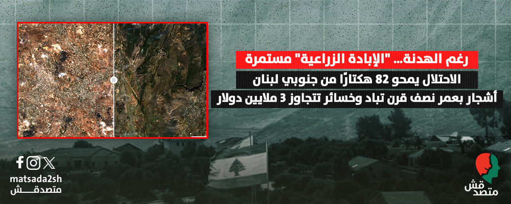 الاحتلال يمحو 82 هكتارًا من جنوبي لبنان..أشجار بعمر نصف قرن تباد وخسائر تتجاوز 3 ملايين دولار