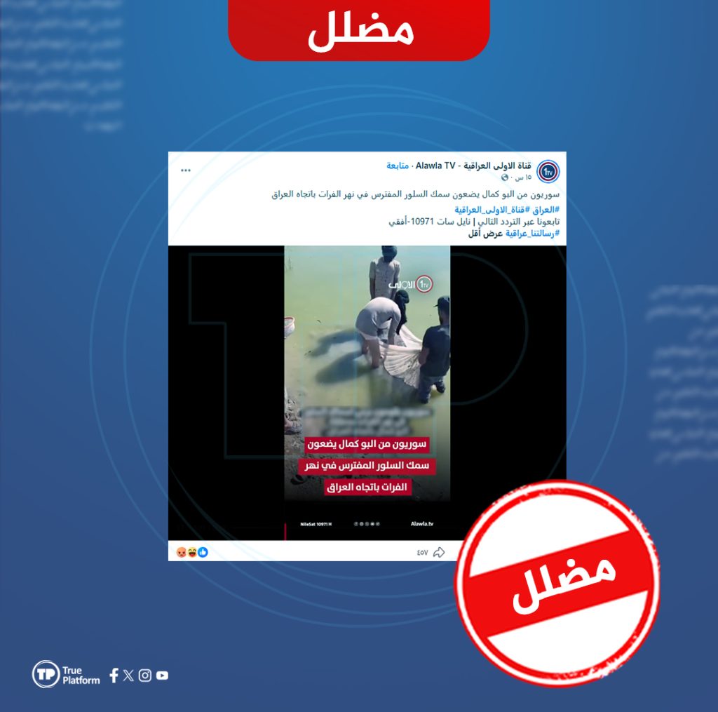 مضلل: فيديو قديم من سوريا أعيد نشره على أنه يوثق إطلاق سمك السلور في الفرات باتجاه العراق