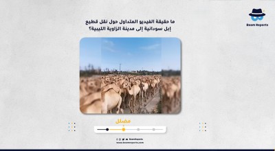 ما حقيقة الفيديو المتداول حول نقل قطيع إبل سودانية إلى مدينة الزاوية الليبية؟