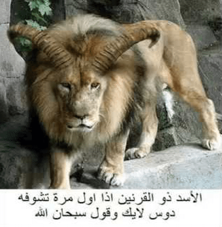 حقيقة الأسد ذو القرنين