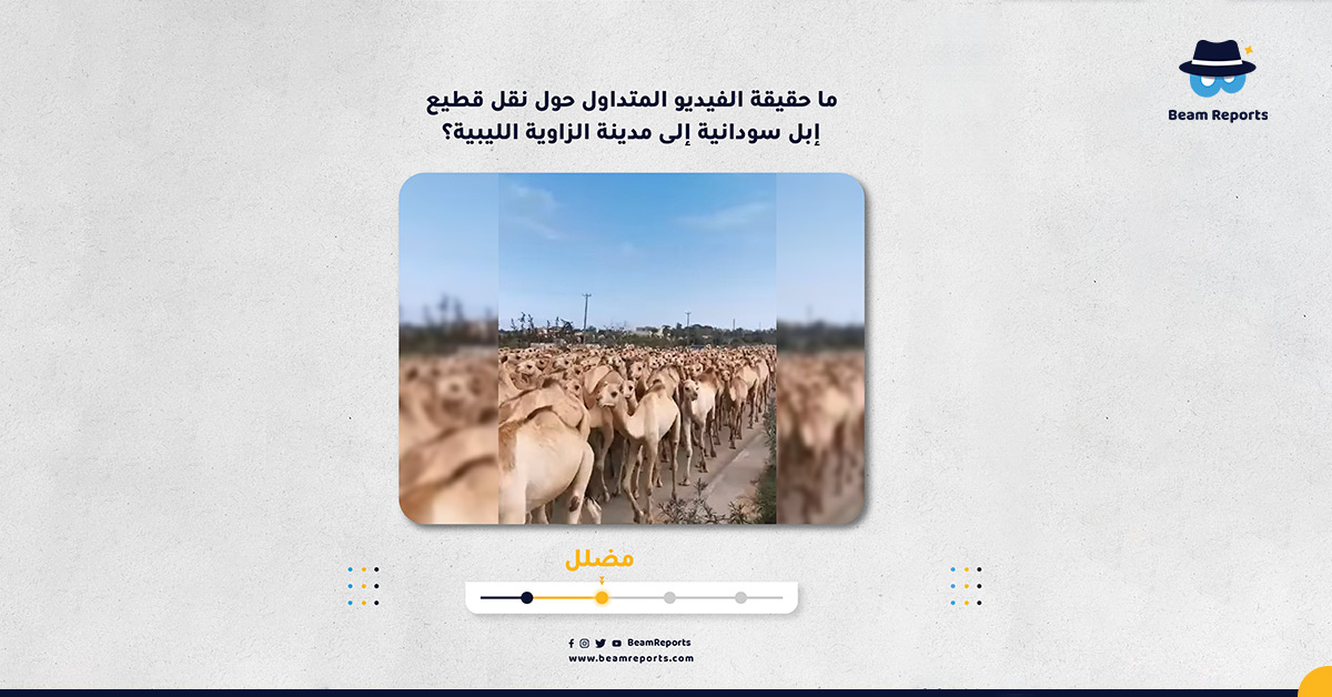 ما حقيقة الفيديو المتداول حول نقل قطيع إبل سودانية إلى مدينة الزاوية الليبية؟